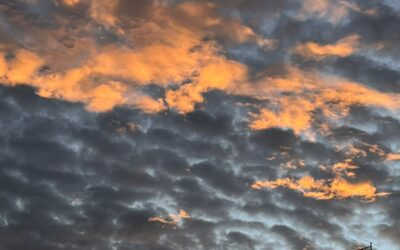 Ventarrón: ‘Estar acá y estar ahora’ por Isabel Salas