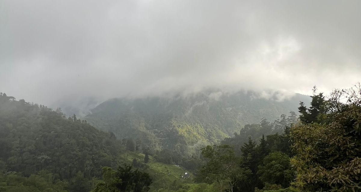 Ventarrón: ‘El sonido de la naturaleza’ por Isabel Salas