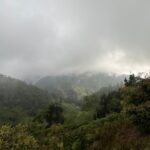 Ventarrón: ‘El sonido de la naturaleza’ por Isabel Salas