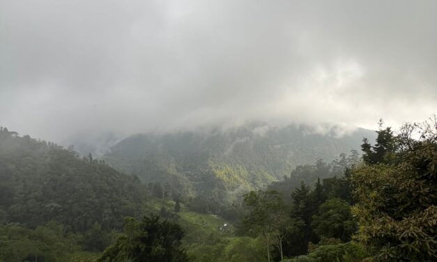 Ventarrón: ‘El sonido de la naturaleza’ por Isabel Salas